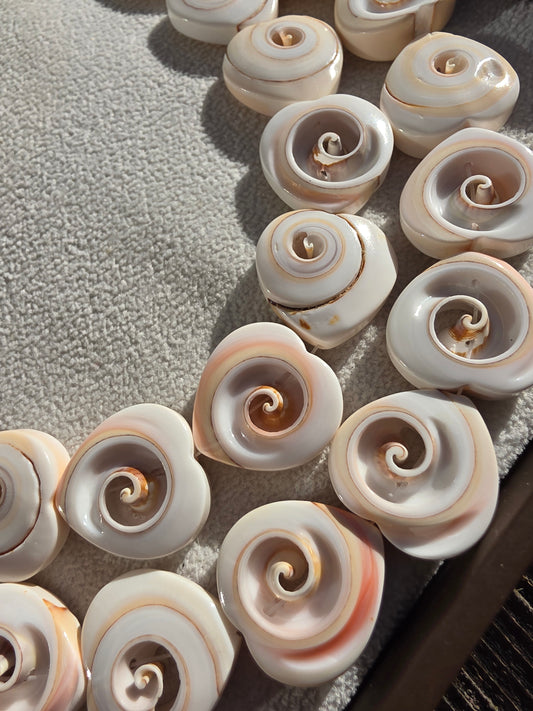 Shell Heart Beads Natural 20mmx20mm - 3 beads